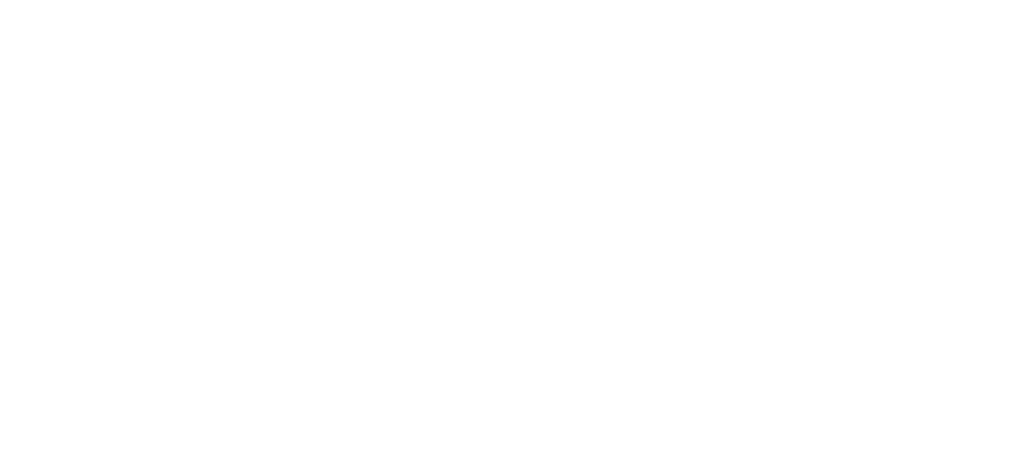 Your Travel Sarathi